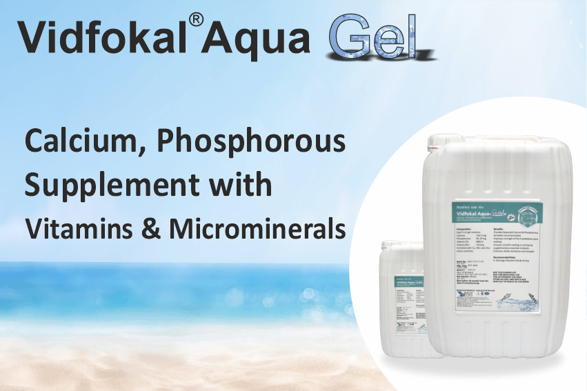 Vidfokal Aqua Gel